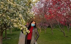 青青草在现线看